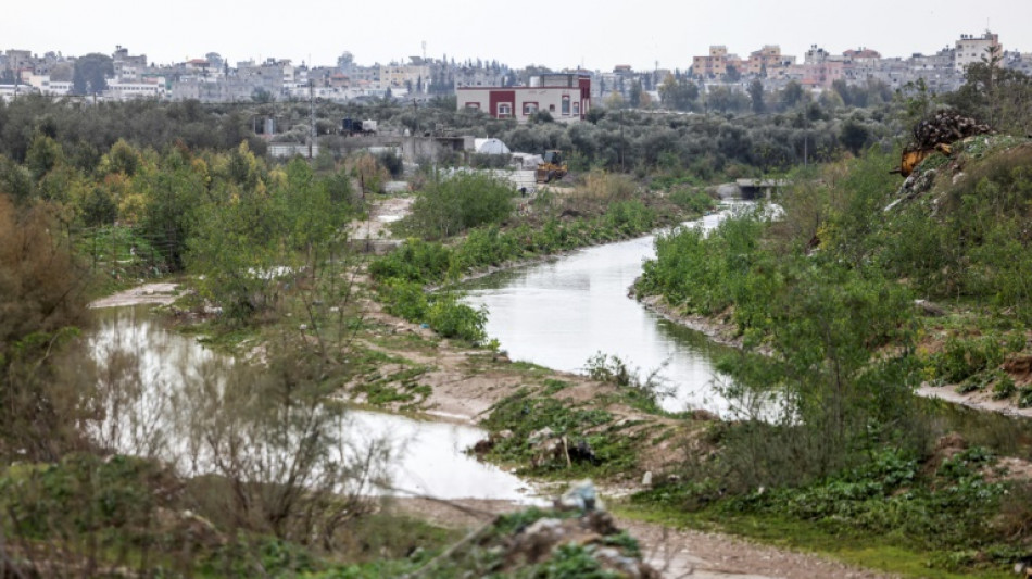 Wadi Gaza, de valle a zona protegida