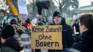 Bauernproteste: Scholz meidet öffentlichen Auftritt - Ampel-Fraktionen laden zu Gespräch