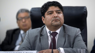 Peru ex-official denies running Congress prostitution ring