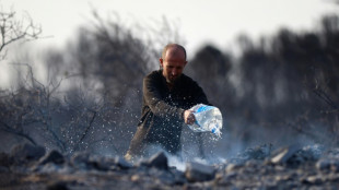 Recrudecen los incendios en el centro de Argentina