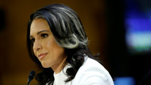 US-Senat bestätigt umstrittene Ex-Abgeordnete Gabbard als Geheimdienstdirektorin