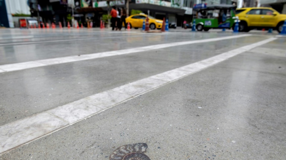 Fossils dating back 66 million years found outside Bangkok mall