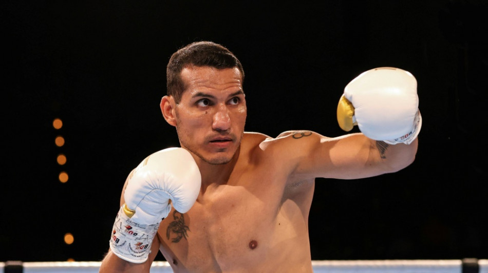 Boxen: Ex-Champ Culcay will zurück auf den WM-Thron