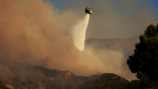 Thousands told to flee as wildfire tears through California's Malibu