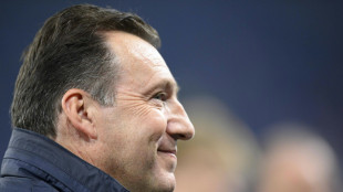 Wilmots übernimmt auf Schalke als Sportdirektor 