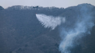 Le Japon déploie plus de 2.000 pompiers pour lutter contre d'importants feux de forêts