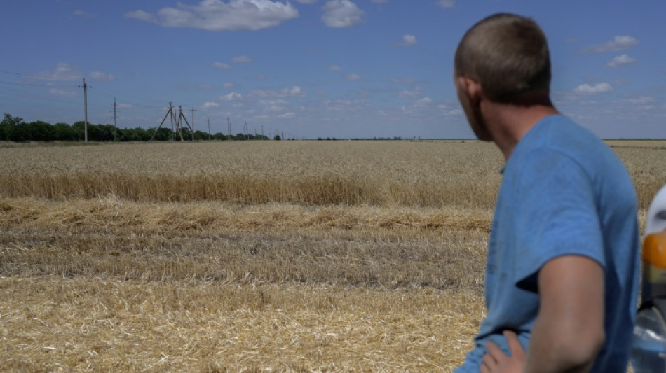 En Ukraine, des fermiers prient pour un accord avec Moscou sur les céréales