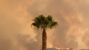 La California brucia, il vento alimenta le fiamme