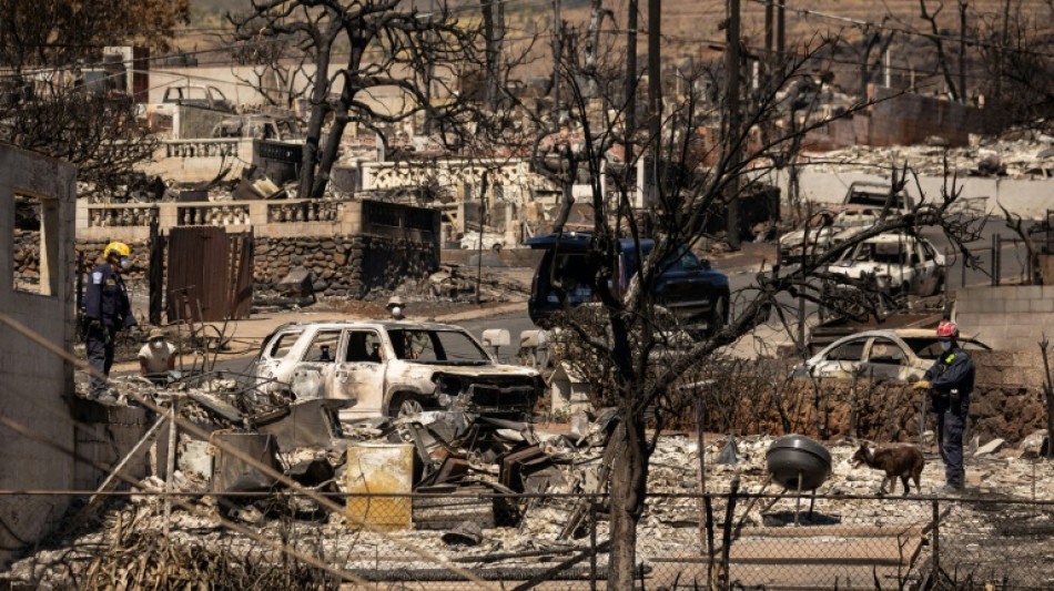 Incendies à Hawaï: démission du responsable de la gestion des crises de Maui