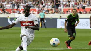 VfB gegen Dortmund wohl mit Guirassy