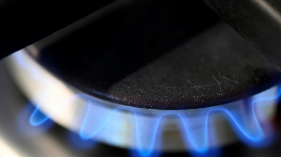 EU vor Einigung auf Gas-Notfallplan