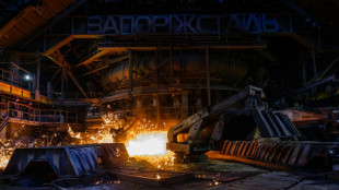 'A chance to survive': Ukraine's fortress steel mills