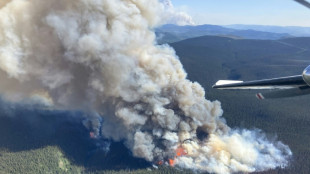 Muere un segundo bombero en Canadá en combate de incendios forestales