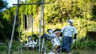 'Our pride': Lone child brings hope to Japan's puppet village