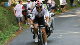 Izagirre gewinnt zwölfte Etappe der Tour de France