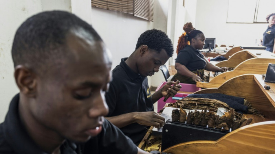 Puros fabricados en Mozambique se abren paso en el mundo de los cigarros