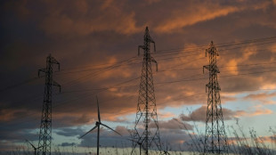 Electricité: le gouvernement renonce à appliquer une hausse prévue au 1er août