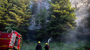 Feux de forêt: le Parlement renforce la prévention