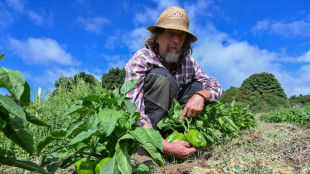 Des agriculteurs du sud de la France sur de nouvelles pistes pour contrer la sécheresse