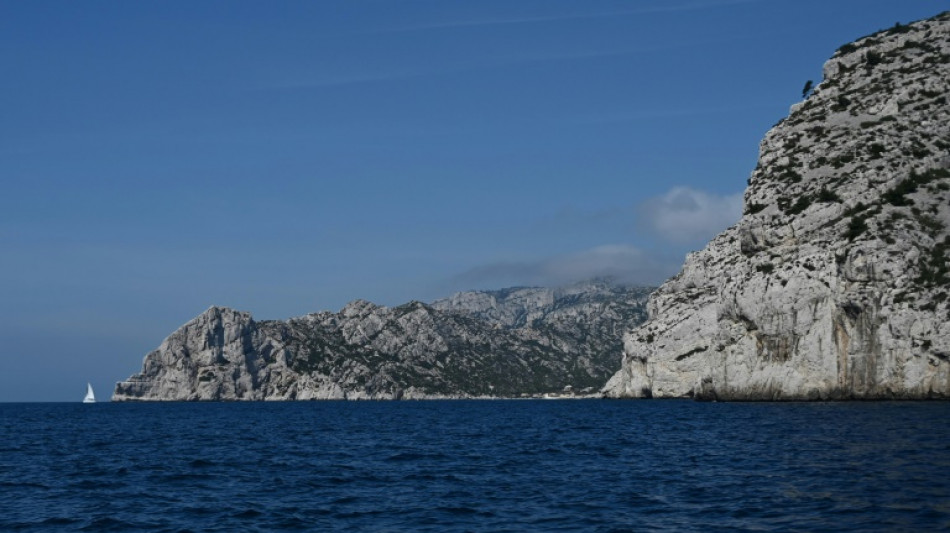 Moyennant réservation, une calanque marseillaise espère retrouver sérénité et biodiversité 