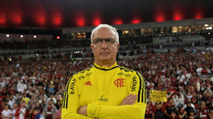 Offiziell: Dorival Junior neuer Nationaltrainer Brasiliens