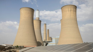 En Afrique du Sud, les écueils de la fermeture d'une centrale au charbon