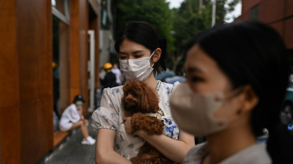 Shanghai reports zero Covid cases for first time since outbreak