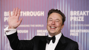 Tesla vola a Wall Street con la Cina, sale del 12%