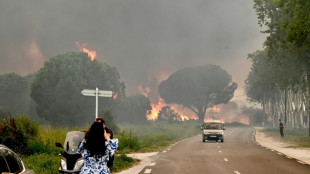 Violent incendie dans les Pyrénées-Orientales: plus de 3.000 personnes évacuées de campings