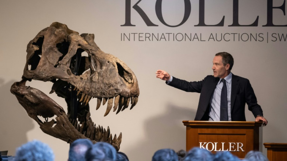 Trinity the T-rex claws in more than $6 million