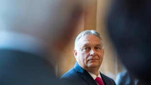 El dirigente nacionalista húngaro dice que Alemania "ya no es" lo que era debido a la inmigración