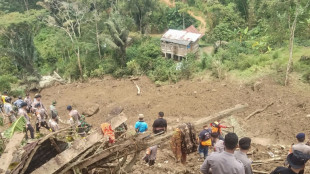 Indonésie: 20 morts selon le bilan final d'un glissement de terrain