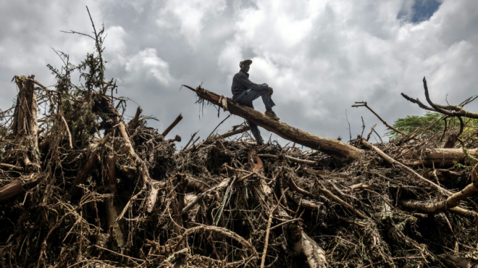 2024 'certain' to be hottest year on record: EU monitor