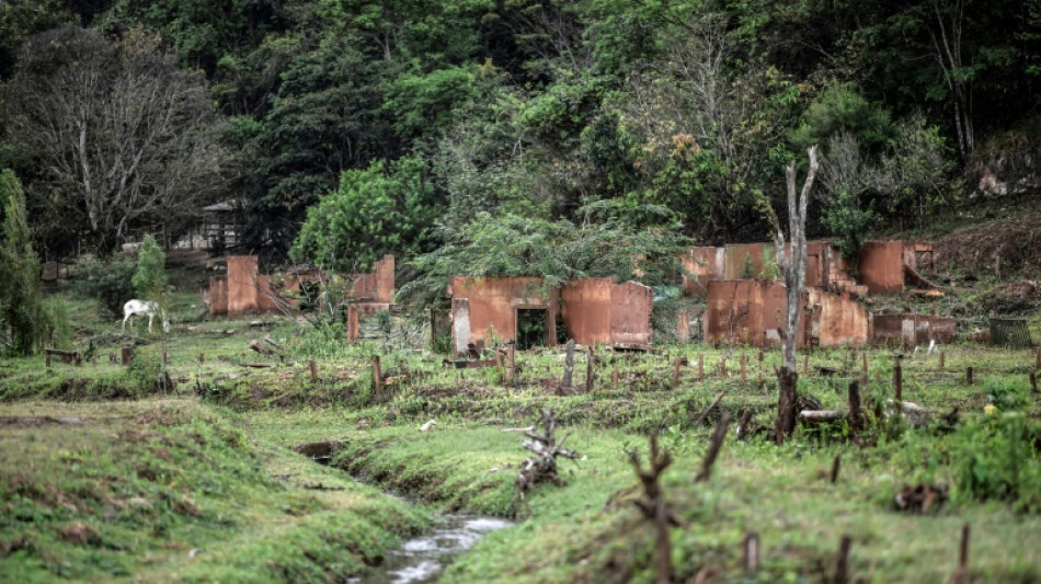 Bergbau-Konzerne bieten Milliarden-Entschädigung wegen Dammbruch in Brasilien an