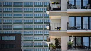 Ifo: Auftragsmangel im Wohnungsbau geht leicht zurück 