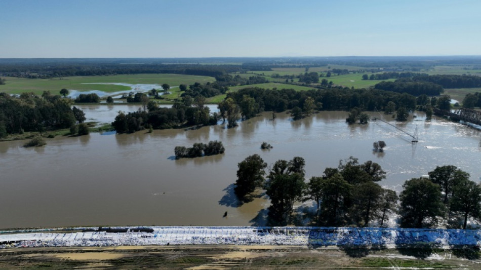 Hochwasser in Brandenburg: Höchste Alarmstufe an weiterem Oder-Abschnitt