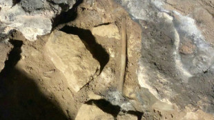 Descoberto na Austrália rastro de ritual aborígine de 12 mil anos
