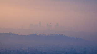 Stay inside to avoid toxic LA wildfire smoke, residents warned