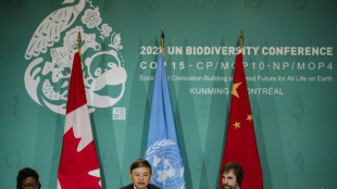 Hope stirs for deal to save nature at UN talks