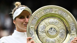 Marketa Vondrousova: Zum Wimbledonsieg ein Tattoo