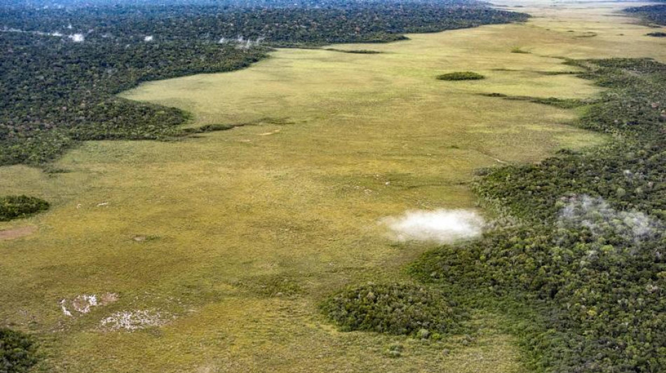 MapBiomas, il Brasile ha perso il 33% delle sue aree naturali