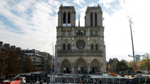 Calls to charge tourists to enter Paris' Notre-Dame cathedral