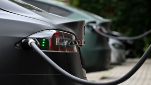 Pays-Bas: les chargeurs rapides défient les champions des bornes pour voitures électriques