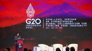 Países occidentales denuncian en el G20 el impacto de la guerra rusa en la economía mundial