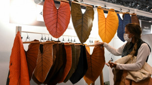 Bananas to fish scales: fashion's hunt for eco-materials