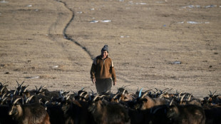 Dans les steppes de Mongolie, le climat déréglé pousse les bergers à bout