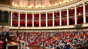 Le Parlement adopte un statut unique des travailleurs indépendants