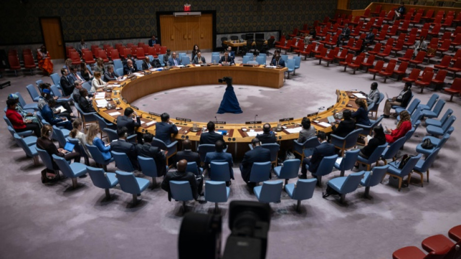 US calls for Africa to get two permanent UN Security Council seats