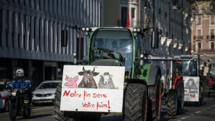 Bauern protestieren erneut in zahlreichen europäischen Ländern