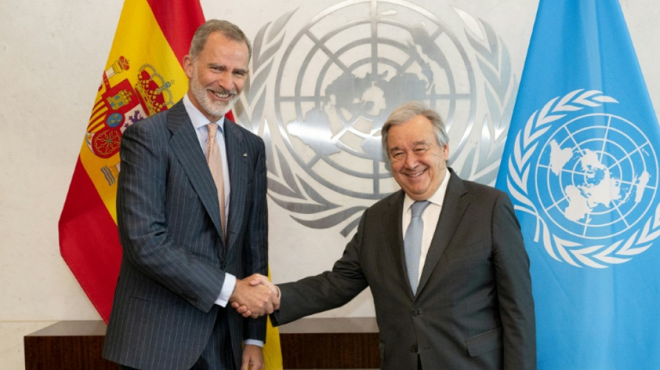 El rey Felipe VI se reúne con el jefe de la ONU en Nueva York